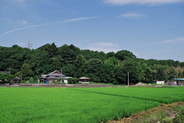 遠方管理の手間・時間がゼロになる