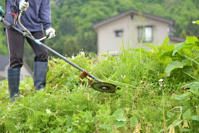 草刈り